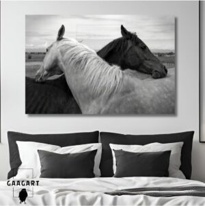 Gaagart Tekli Yatay Kanvas Dekoratif Duvar Tablosu Siyah Beyaz Atlar, 150 X 100
